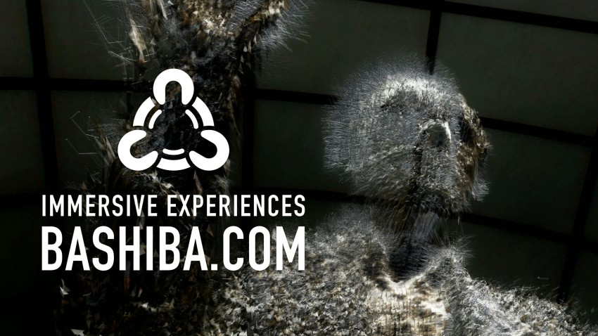 BASHIBA .:. Immersive Experiences
