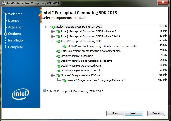 Intel Perceptual Computing 2013 SDK installation window